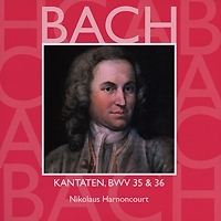 Nikolaus Harnoncourt Bach Vol 12: Kantaten, BWV 35 & 36 артикул 572b.