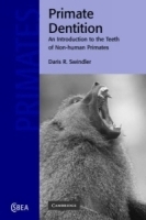 Primate Dentition : An Introduction to the Teeth of Non-human Primates (Cambridge Studies in Biological and Evolutionary Anthropology) артикул 325b.